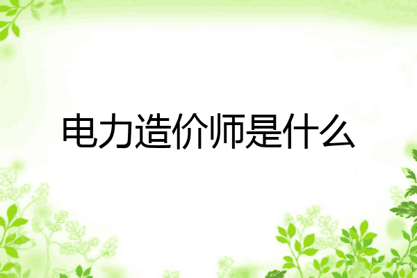 电力造价师是什么