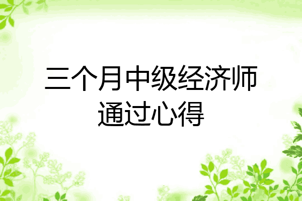 三个月中级经济师通过心得