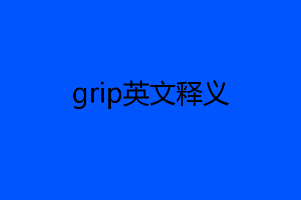 grip英文释义