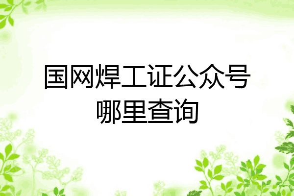 国网焊工证公众号哪里查询
