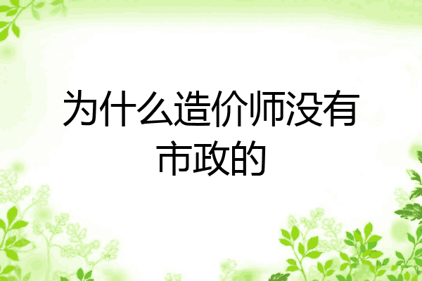 为什么造价师没有市政的