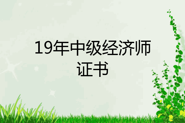 19年中级经济师证书