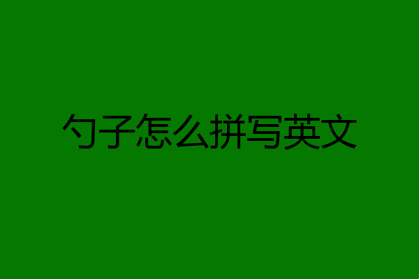 勺子怎么拼写英文
