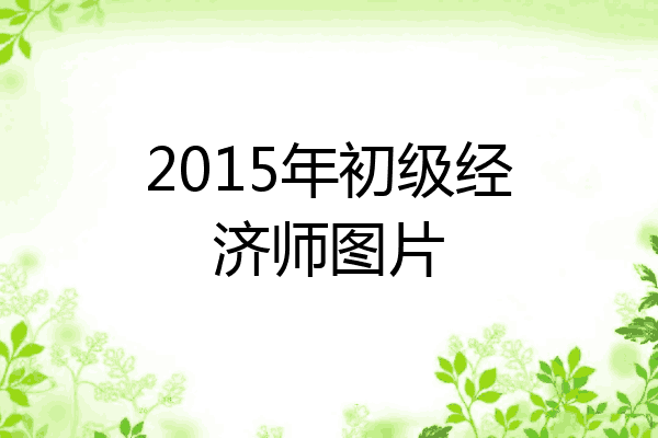 2015年初级经济师图片