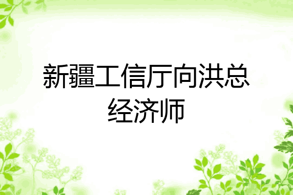 新疆工信厅向洪总经济师