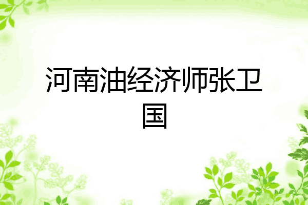 河南油经济师张卫国