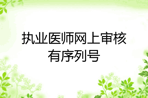 执业医师网上审核有序列号