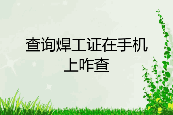 查询焊工证在手机上咋查