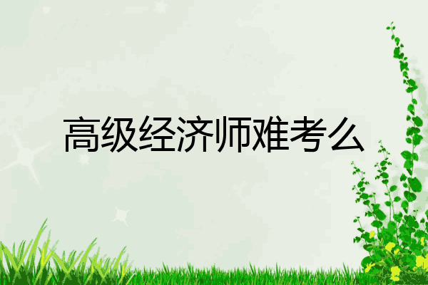 高级经济师难考么