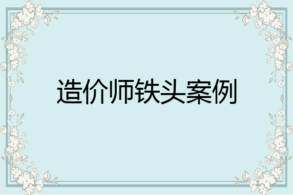 造价师铁头案例