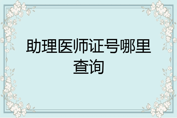 助理医师证号哪里查询