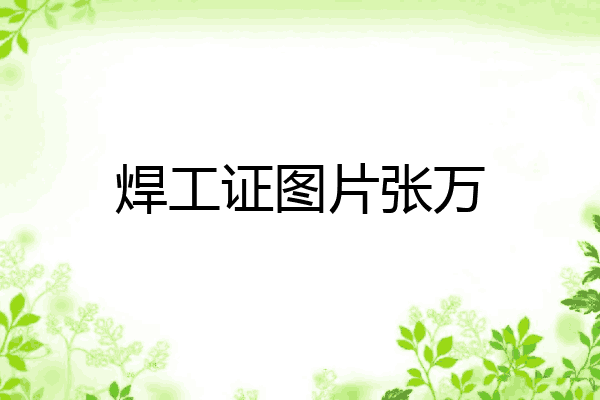 焊工证图片张万