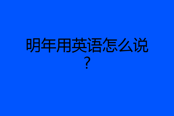 明年用英语怎么说?