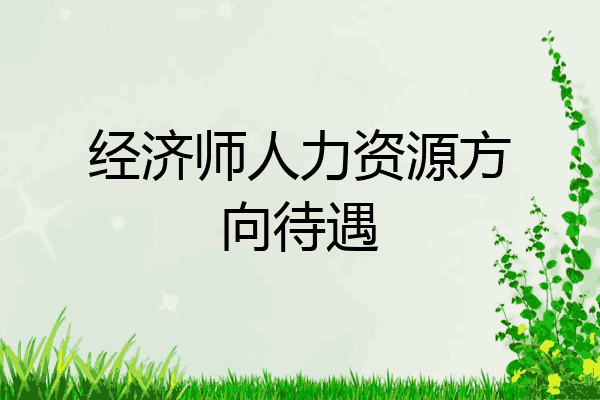 经济师人力资源方向待遇