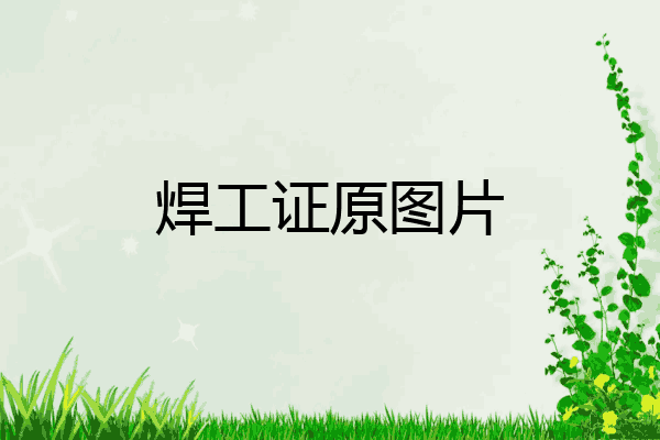 焊工证原图片