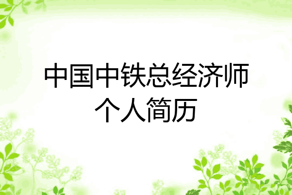 中国中铁总经济师个人简历