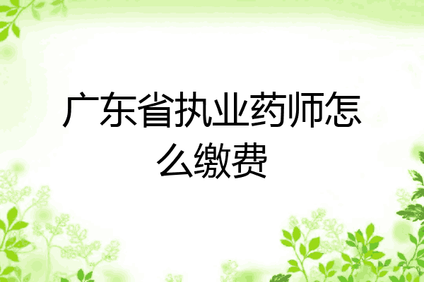 广东省执业药师怎么缴费