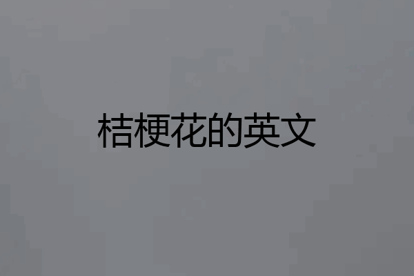 桔梗花的英文