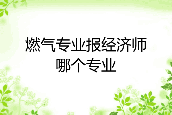 燃气专业报经济师哪个专业
