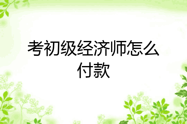考初级经济师怎么付款
