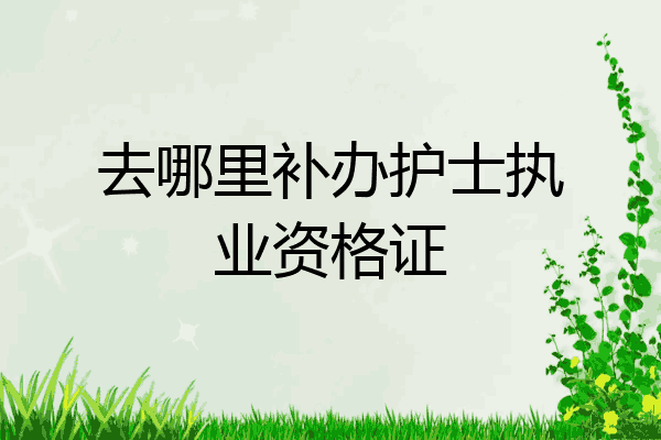 去哪里补办护士执业资格证