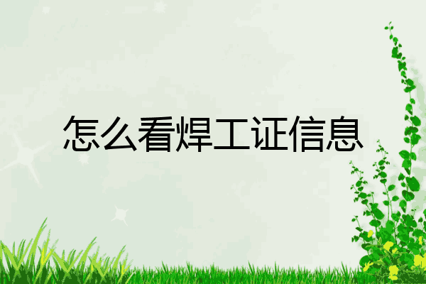 怎么看焊工证信息