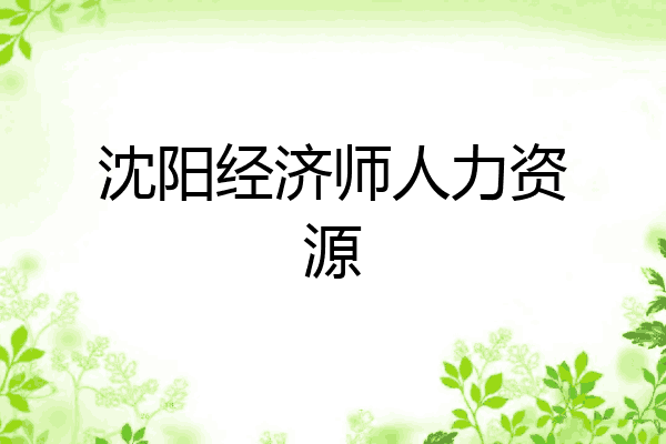 沈阳经济师人力资源
