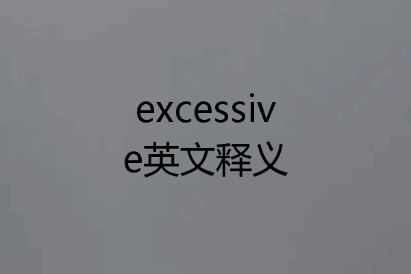 excessive英文释义