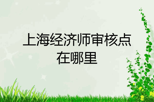上海经济师审核点在哪里
