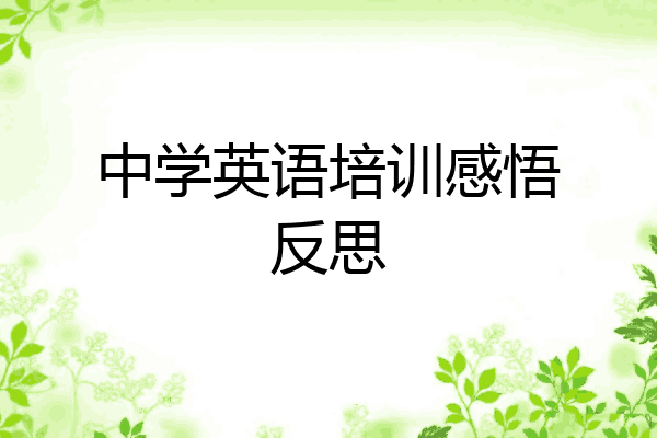 中学英语培训感悟反思