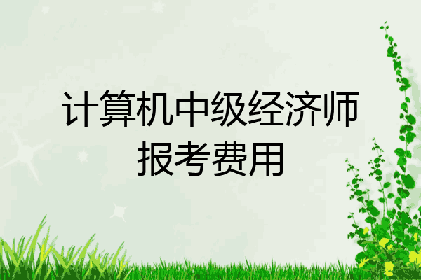 计算机中级经济师报考费用