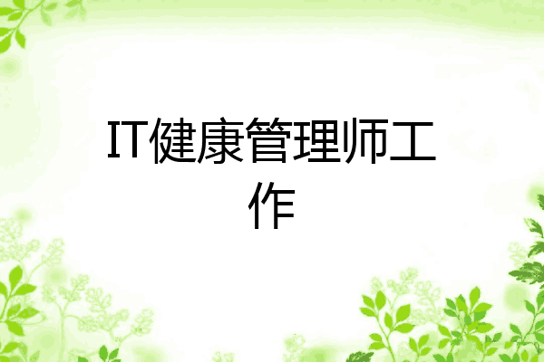 IT健康管理师工作