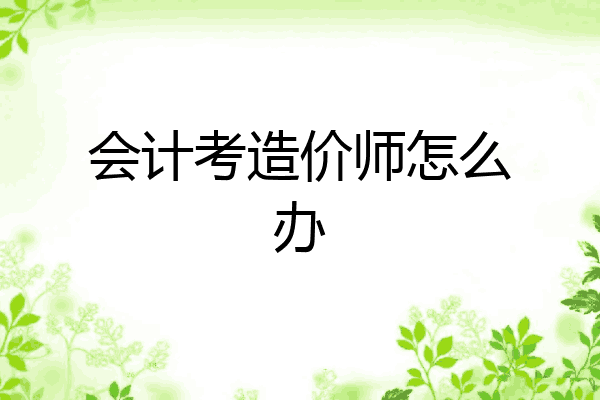 会计考造价师怎么办