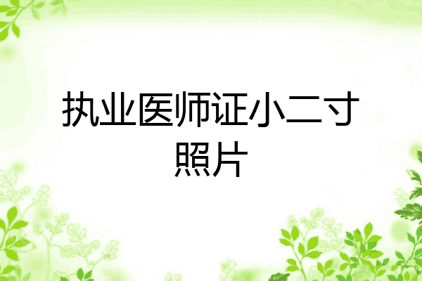 执业医师证小二寸照片