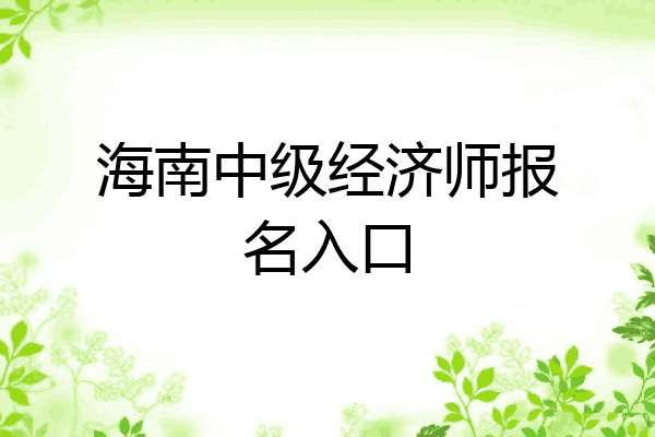 海南中级经济师报名入口
