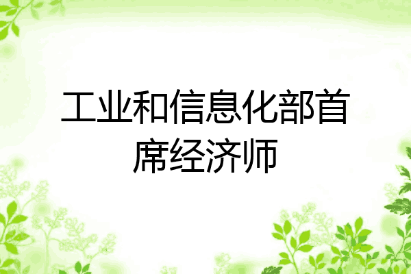 工业和信息化部首席经济师