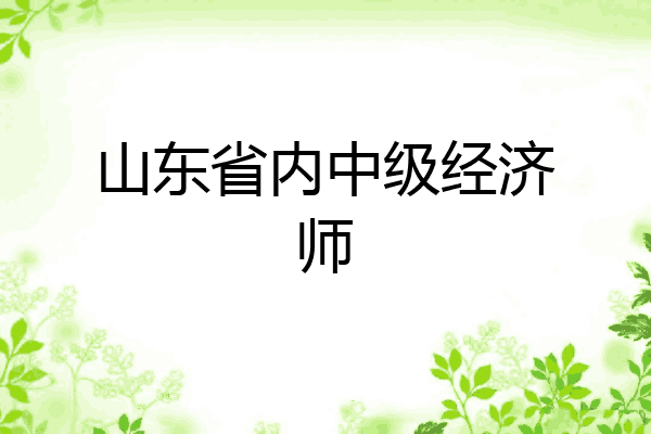 山东省内中级经济师