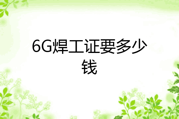6G焊工证要多少钱