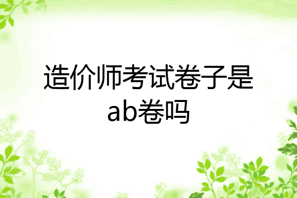造价师考试卷子是ab卷吗