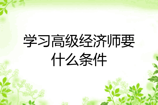 学习高级经济师要什么条件