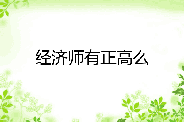 经济师有正高么