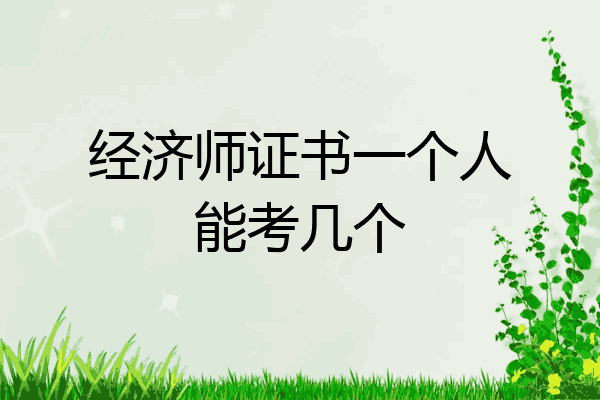 经济师证书一个人能考几个