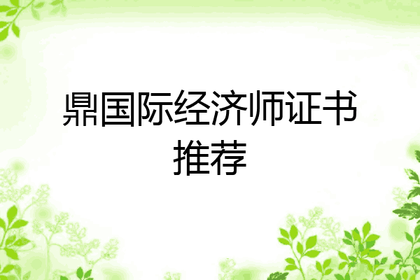 鼎国际经济师证书推荐
