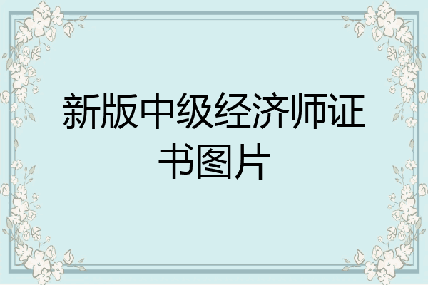 新版中级经济师证书图片