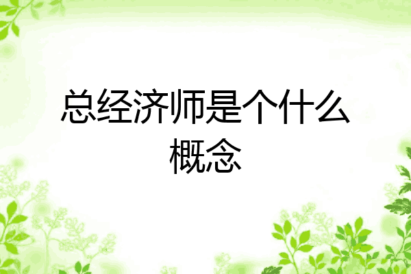 总经济师是个什么概念