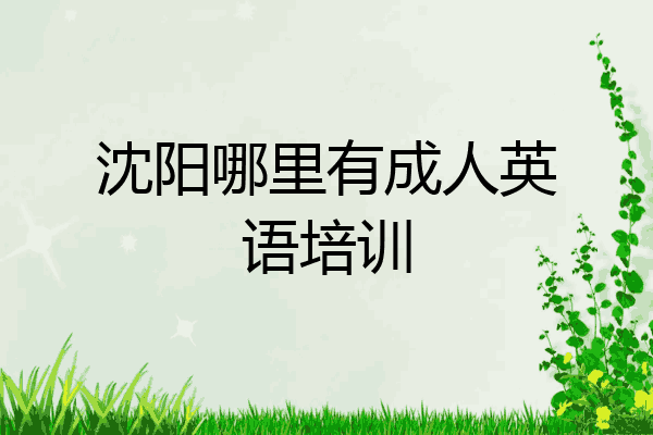 沈阳哪里有成人英语培训