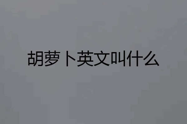 胡萝卜英文叫什么