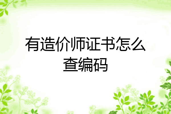 有造价师证书怎么查编码