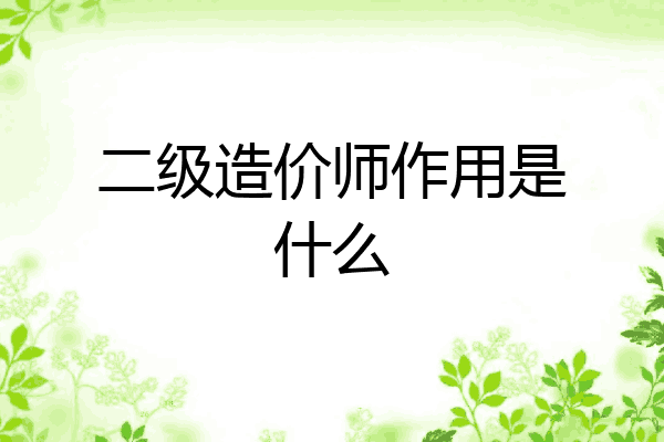 二级造价师作用是什么