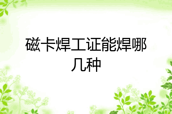 磁卡焊工证能焊哪几种